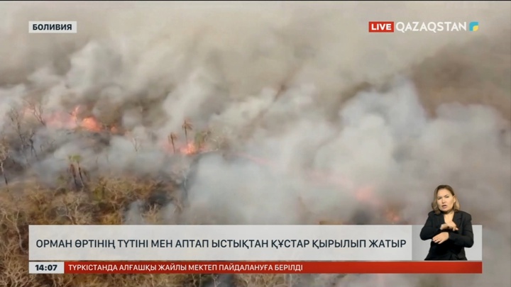 Боливиядағы аптап ыстық пен өрттің кесірінен құстар қырылуда