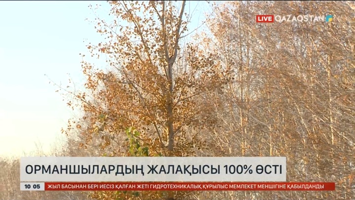 Биыл шілде айынан бастап орманшылардың жалақысы 100%-ға өсті