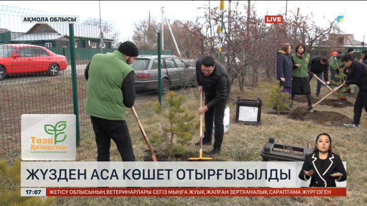 Ақмола облысында жүзден аса көшет екті