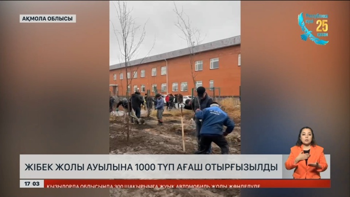 Ақмола облысына мың түп ағаш екті
