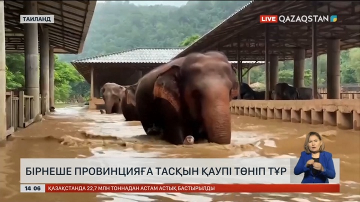 Үздіксіз жаңбырдан соң Тайланд алапат тасқынға дайындала бастады