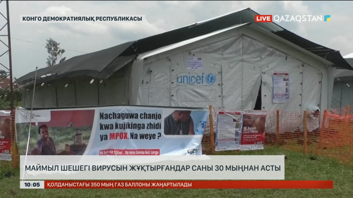 Конго Демократиялық Республикасында маймыл шешегін жұқтырғандар саны 30 мыңнан асып кеткен