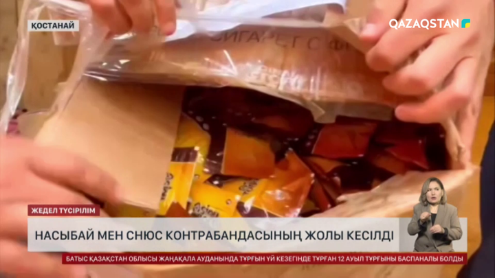Қостанайға 1,5 тонна насыбай апарған жігіт ұсталды