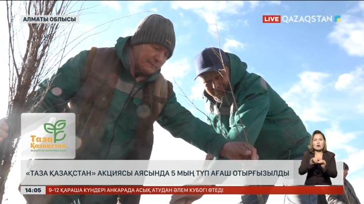 Алматы облысында 5 мың түп ағаш екті