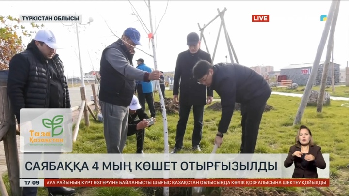 Түркістандағы саябаққа 4 мың көшет егілді