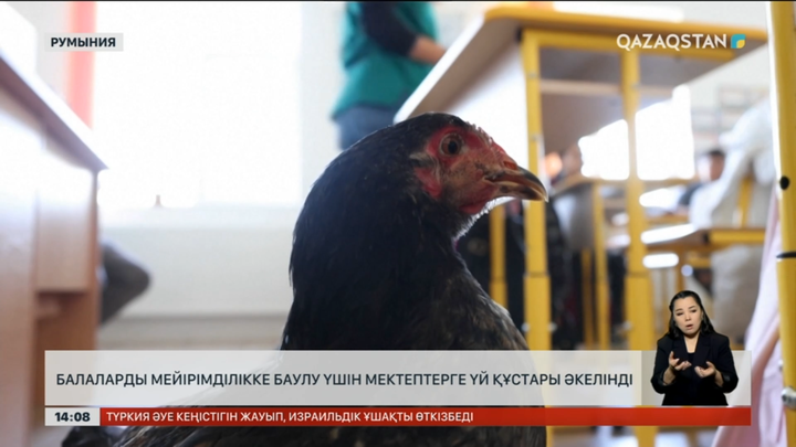 Румыния мектептерінде мейірімділік пәні ашылды