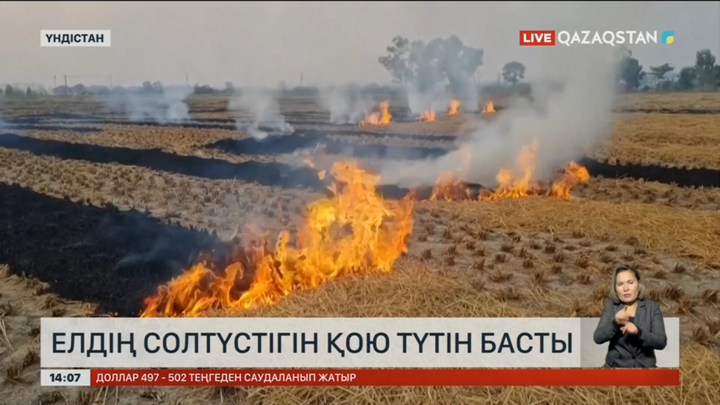 Үндістанның солтүстігін түтін басып, ел демікпеге душар болды