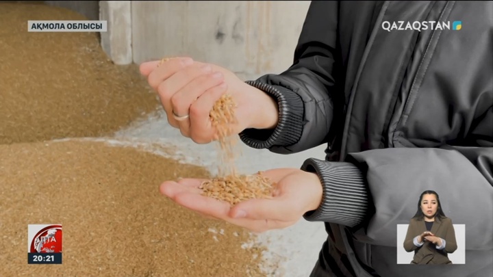 Дихандардың еңбегі ақтала ма?