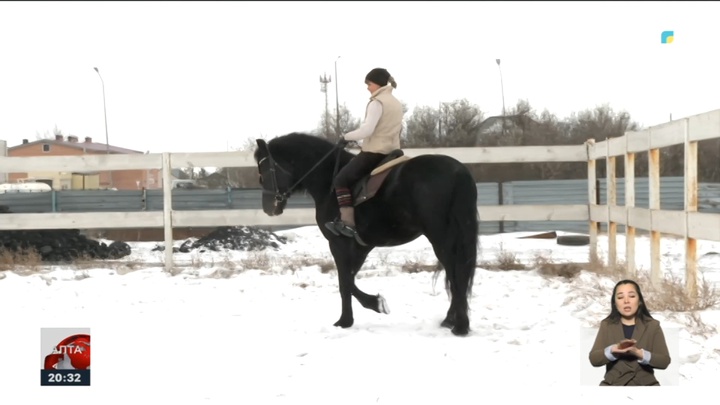 Елімізде жылқы шаруашылығы қаншалықты деңгейде дамуда?