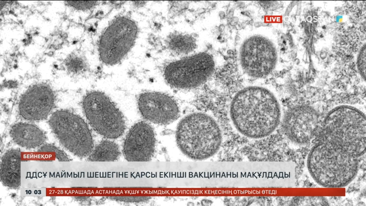 ДДСҰ маймыл шешегіне қарсы екінші вакцинаны мақұлдады