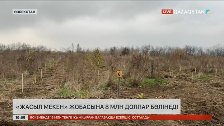 Өзбекстанда «Жасыл мекен» ұлттық жобасын дамытуға 8 млн доллар бөлінбек