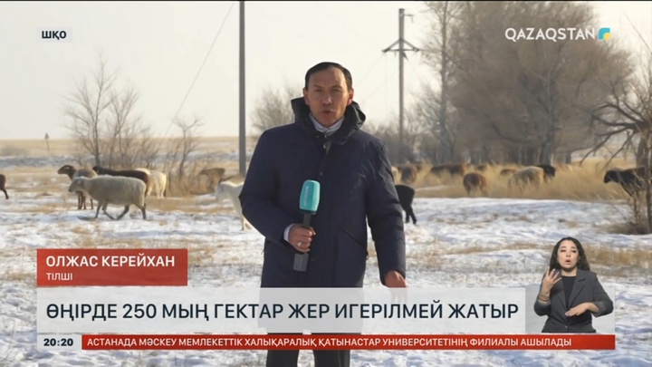 Шығыс Қазақстанда 250 мың гектар жер игерілмей жатыр