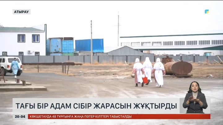 Атырауда тағы бір адамнан сібір жарасы анықталды