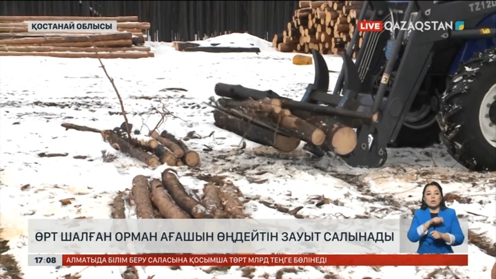 Қостанайда өрт шалған орман ағашын өңдейтін зауыт салынады