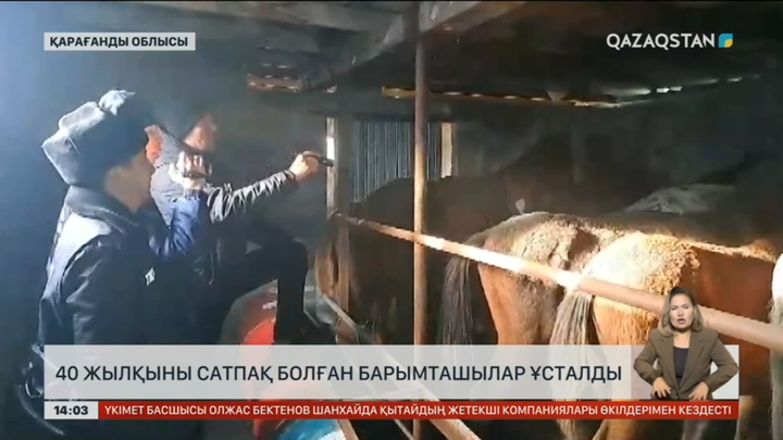 Қарағанды облысында 40 жылқы ұрлаған барымташылар ұсталды