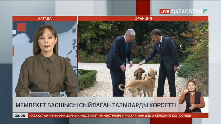 Франция Президенті Эмманюэль Макрон Қасым-Жомарт Тоқаевқа өзі сыйлаған қазақ тазыларын көрсетті