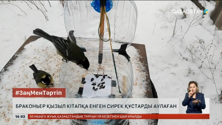 Қызыл кітапқа енген құсты аулаған браконьер ұсталды