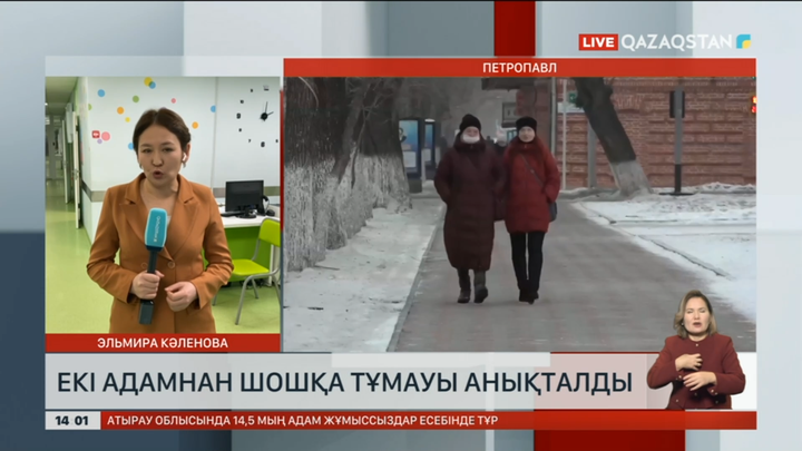 Солтүстік Қазақстанда екі адамнан шошқа тұмауы анықталды