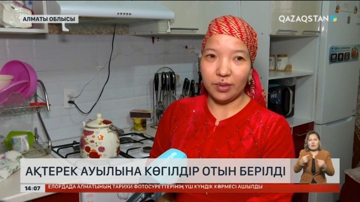 Алматы облысының Ақтерек ауылына газ берілді