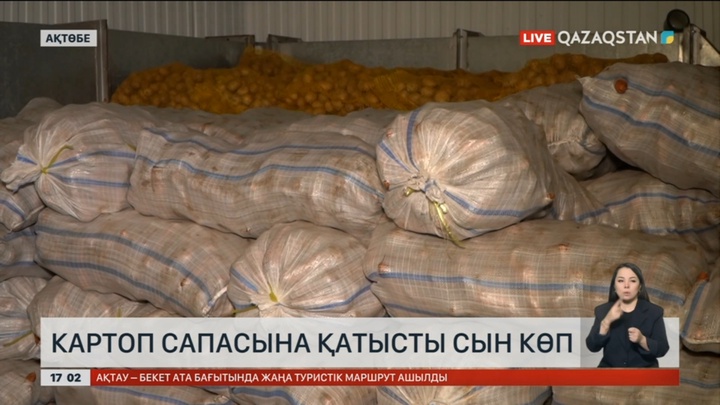 Ақтөбе облысы көкөністерін қысқа дайындап қойды