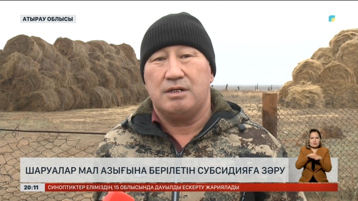 Атырау облысында шаруалар мал азығына берілетін субсидияға зәру