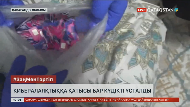 Қарағандыда кибералаяқтыққа қатысы бар 22 жастағы көрші ел азаматы ұсталды