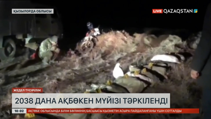 Қызылорда облысында екі тұрғыннан 2 мыңнан астам ақбөкен мүйізі тәркіленді