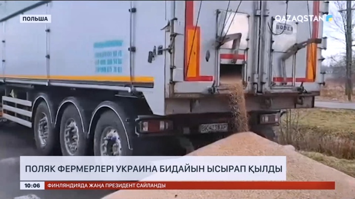 Поляк фермерлері Украина бидайын ысырап қылды