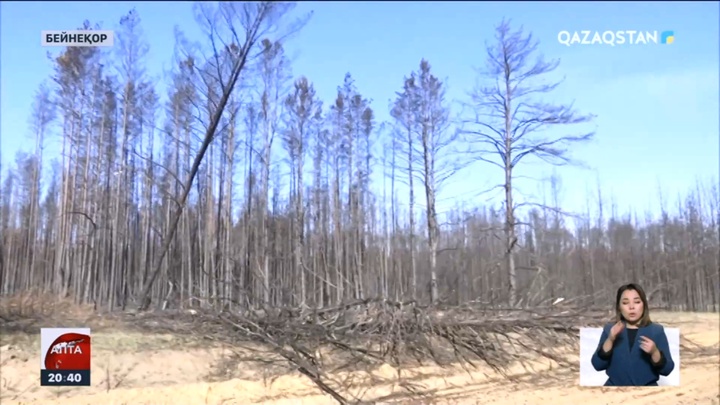 Орманшылардың айлығы қашан көтеріледі?