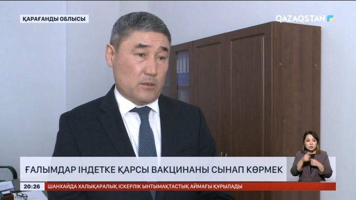 Отандық ғалымдар африкалық сап індетіне қарсы вакцина ойлап тапты