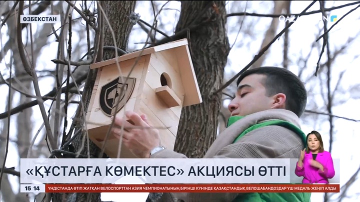 Ташкентте «Құстарға көмектес» акциясы өтті