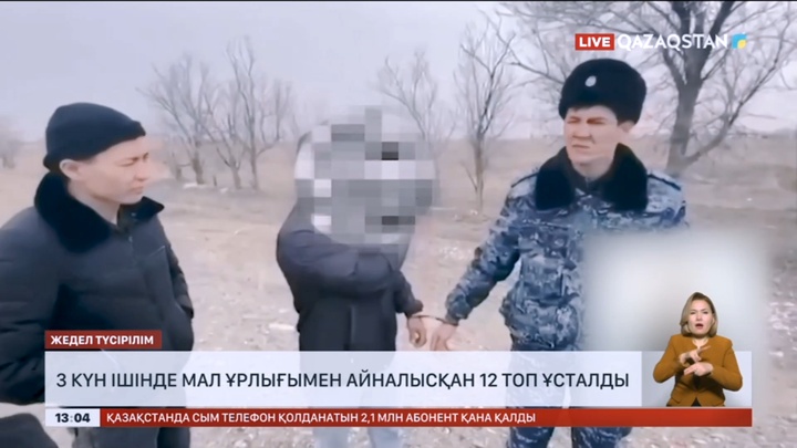 Мал ұрлығымен айналысқан 12 топ ұсталды