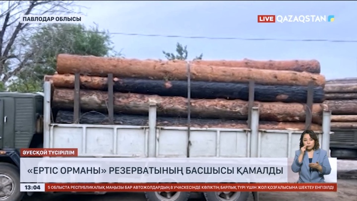 Павлодар облысында «Ертіс орманы» резерватының басшысы қамалды