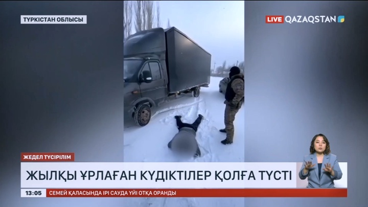 Түркістан облысында мал ұрлаумен айналысқан қылмыстық топ ұсталды