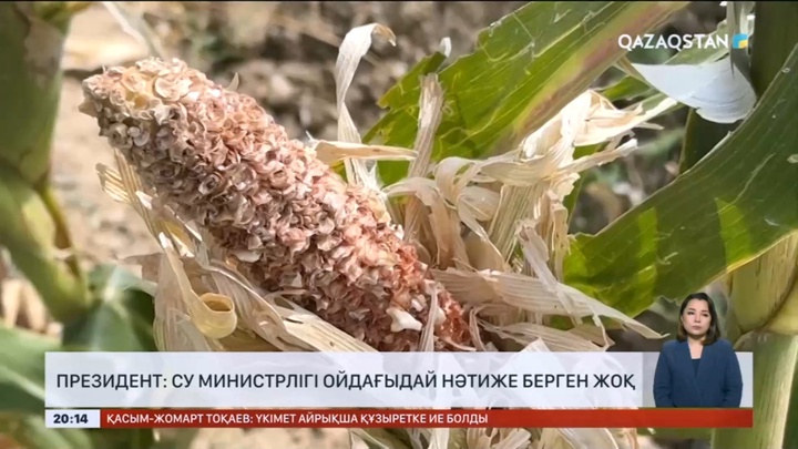 Президент: Су министрлігі ойдағыдай нәтиже берген жоқ