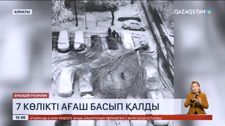 Алматыда 7 көлікті ағаш басып қалды