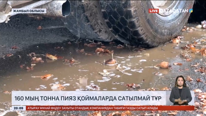 Пияздан пайда болмай тұр