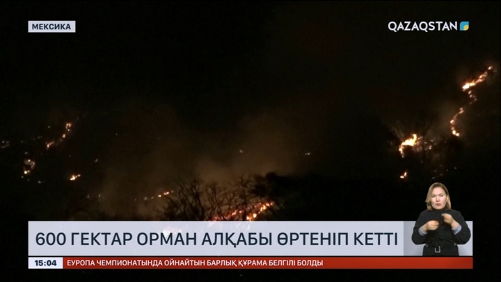 Мексикада 600 гектар орман алқабы өртеніп кетті