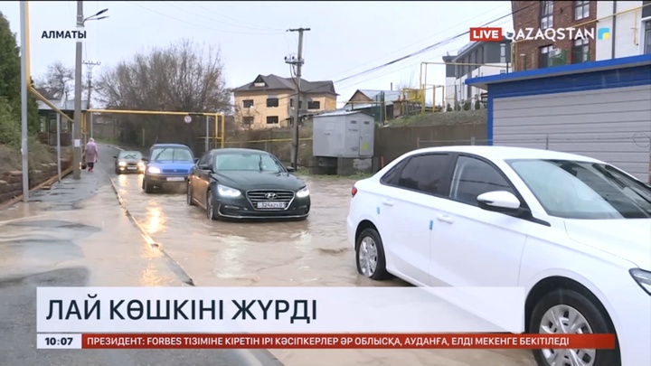 Алматыда лай көшкіні жүрді