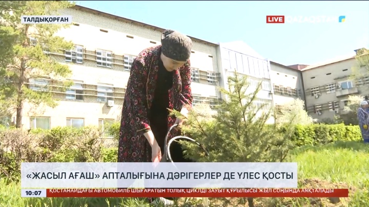 «Жасыл ағаш» апталығына жетісулық дәрігерлер де үлес қосты