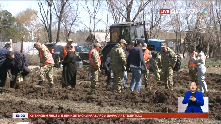 Қарағандыда өртенген орман алқабына 90 мың көшет егілді