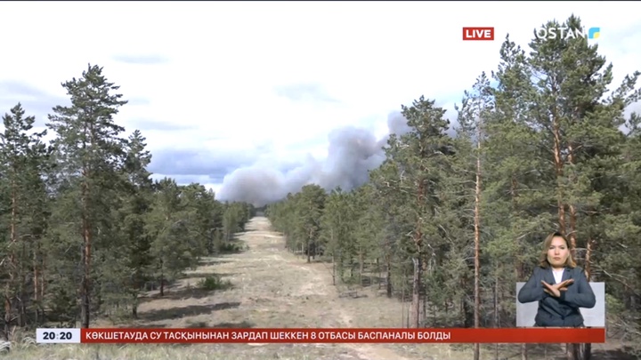 Cемей орманында өрт шықты