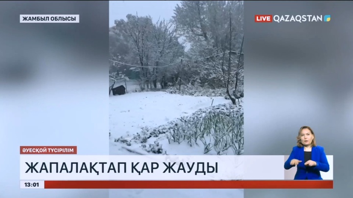 Жамбыл облысында жапалақтап қар жауды