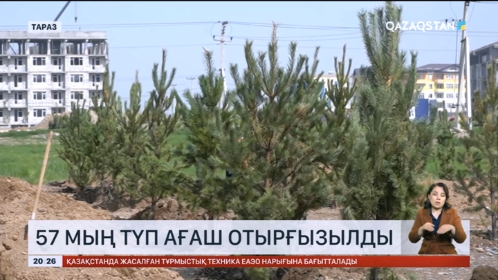 Таразда 101 жастағы әже жастармен бірге тал көшеттерін отырғызды