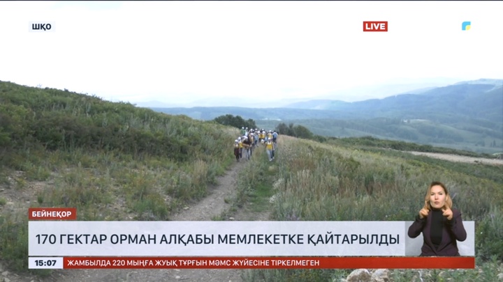 Шығыс Қазақстанда 170 гектар орман алқабы мемлекетке қайтарылды