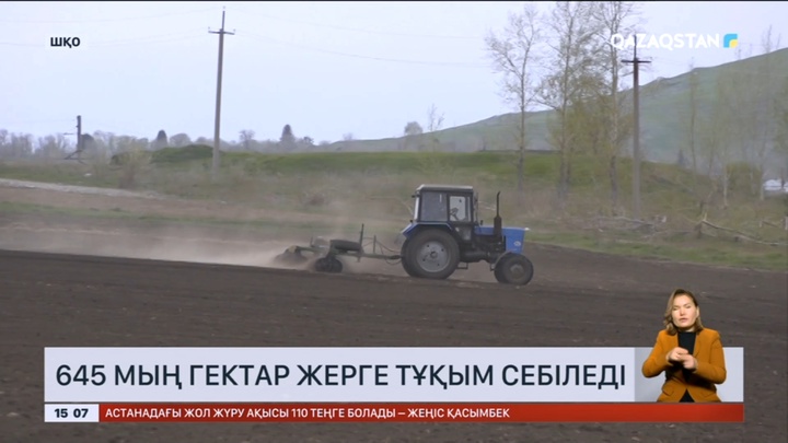 ШҚО-да 645 мың гектар жерге тұқым себіледі