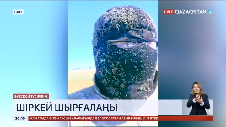 Батыс Қазақстан жұртын шыбын-шіркей әлекке салуда