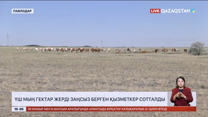 Павлодар облысында үш мың гектар жерді заңсыз берген қызметкер сотталды