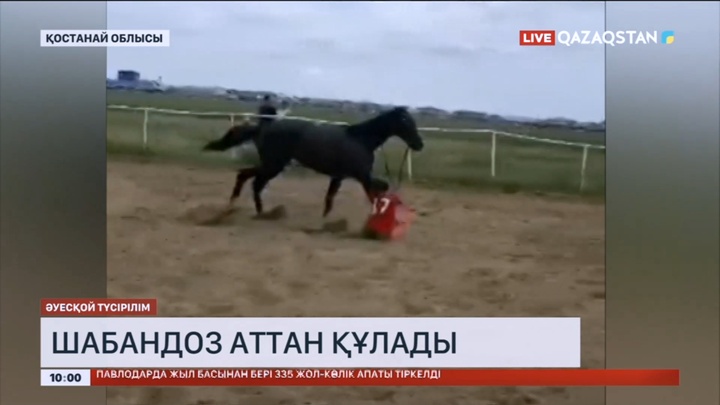 Қостанайда бәйге кезінде шабандоз аттан құлады
