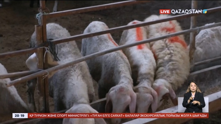 Израиль әскері тактикалық үзіліс жасады